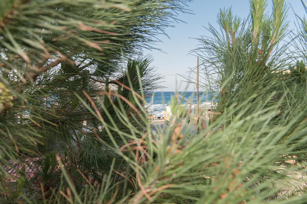 Stalis Lux Beach Apartment Εξωτερικό φωτογραφία